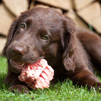 How can I feed meaty bones and chunks?